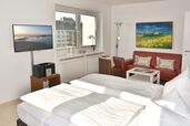 Wohn-/Schlafraum mit Doppelbett, TV und Sofa