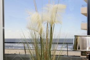 Ausblick auf den Strand und das Wasser