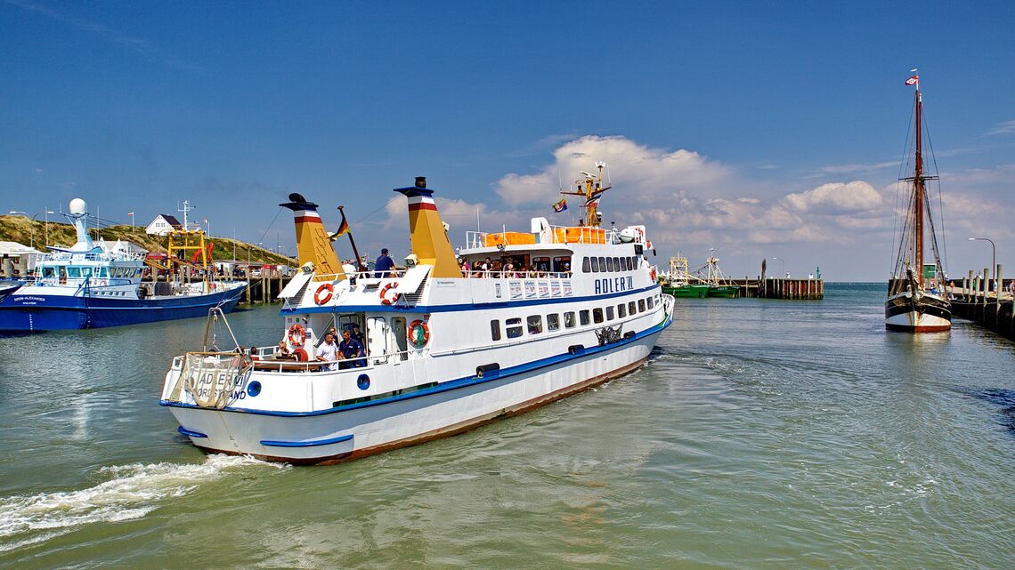 Rundfahrten durch das Wattenmeer